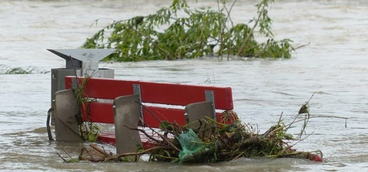 Water Released from Jehanabad Barrage Triggers Flood in Nalanda