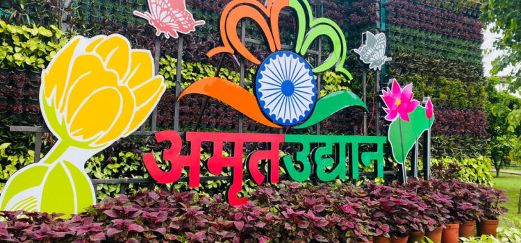 Rashtrapati Bhavan's Amrit Udyan Opens for Public from Today, Accessible Six Days a Week.