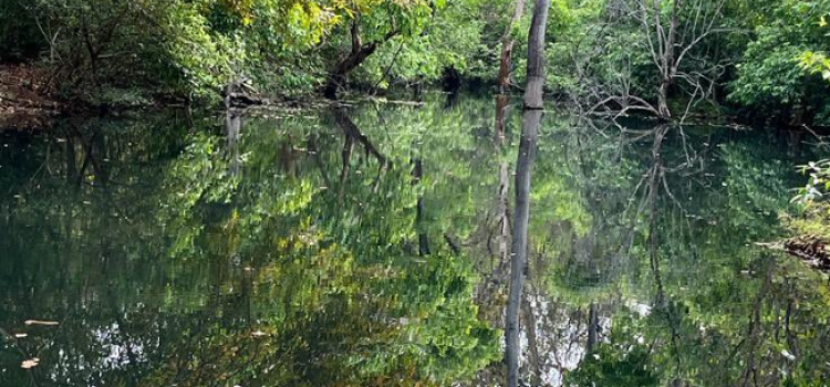 Mini Goa of Bihar: Perfect Summer Getaway with Nature and Wildlife