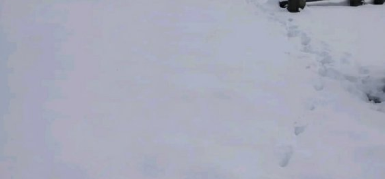 Cold Wave Returns in North India After Rain and Snowfall