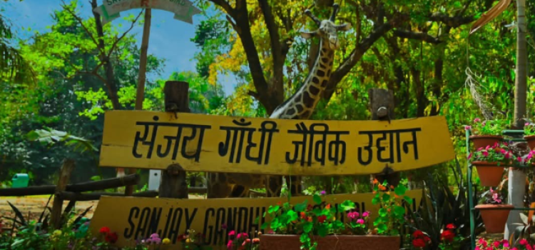 Patna Zoo: India’s 4th Largest Zoo is in Bihar