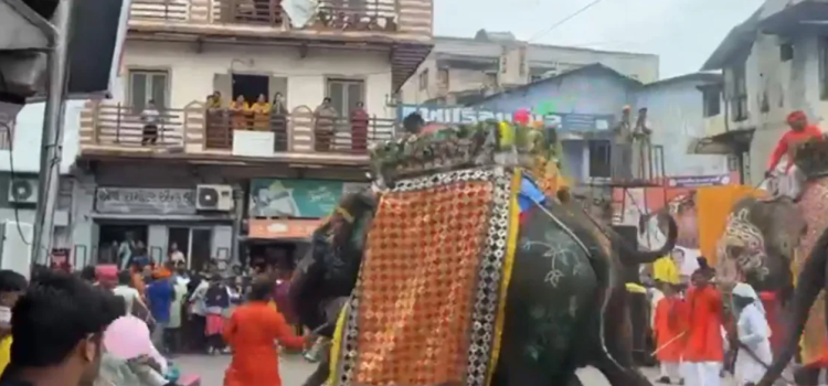 Elephant Runs Amok in Ahmedabad Rath Yatra, Later Controlled
