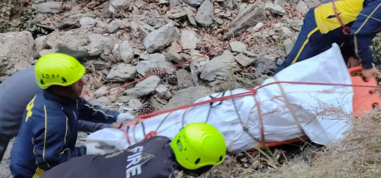 Uttarakhand Road Accident: Bolero Falls into 200-Meter Gorge, 5 Dead