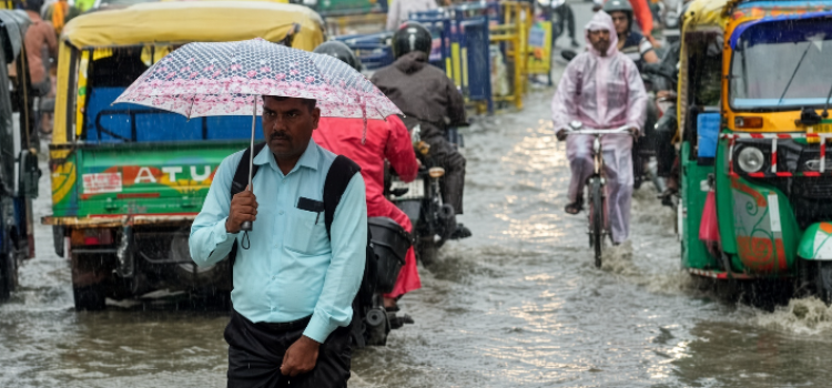 Bihar Rain Alert: 24 Districts on Alert