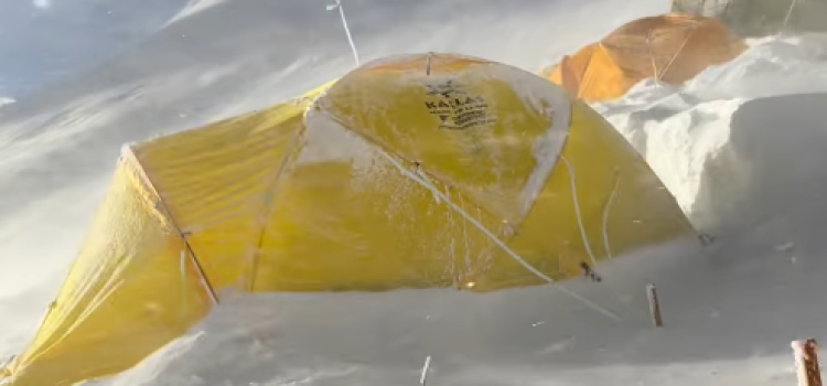 Girl woke up in tent with friends — what she saw outside left everyone shocked!