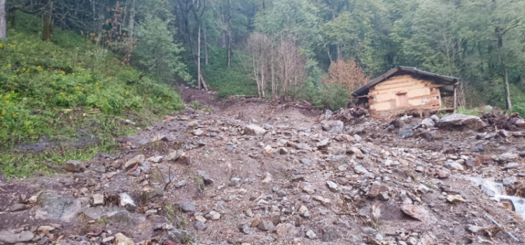 Nature’s Fury in Himachal: Cloudburst in Kinnaur Causes Havoc