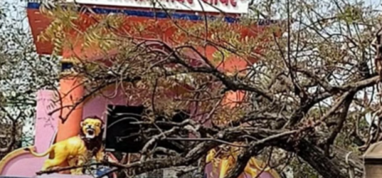 Stampede at Nalanda Temple: 8 Dead, Many Injured