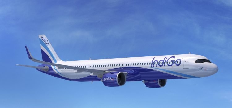 indigo1