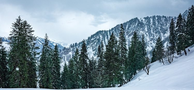 After Rain in Plains and Snowfall in Hill States, Cold Intensifies; Overcast Skies to Persist for a Few Days