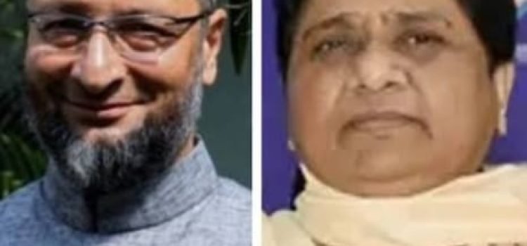 up-election-2022-1