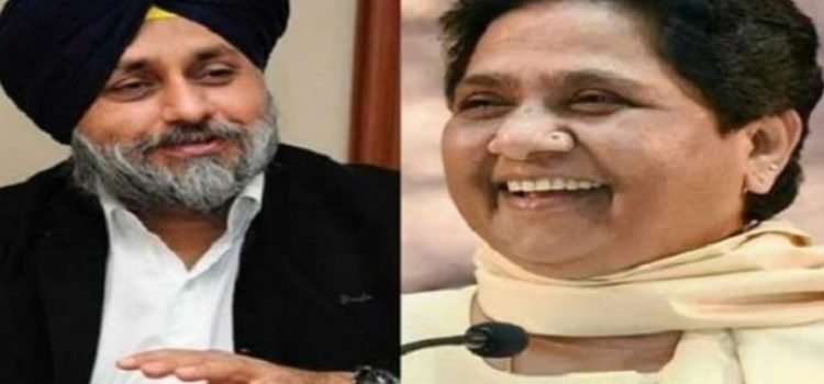 SAD, BSP form alliance for Punjab Assembly polls 2022
